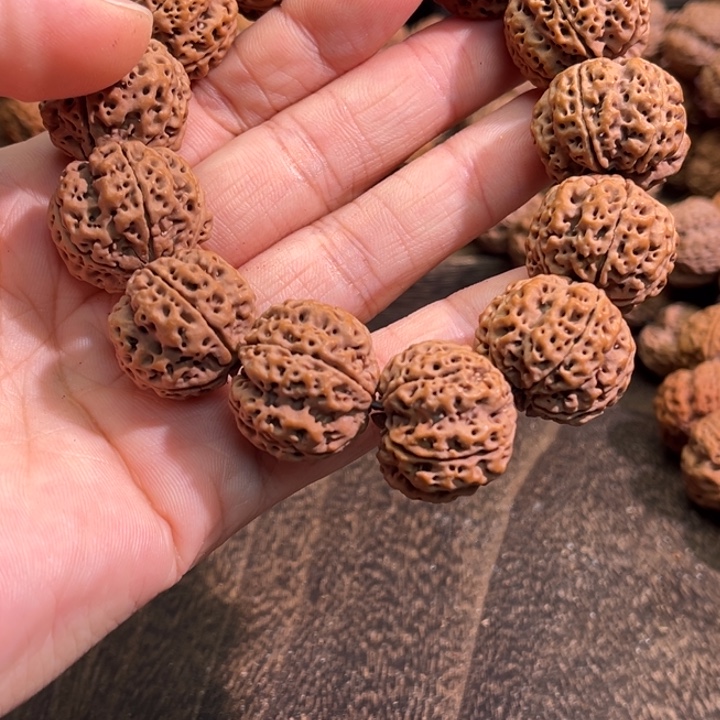 苍***龙手串金刚菩提蜂窝