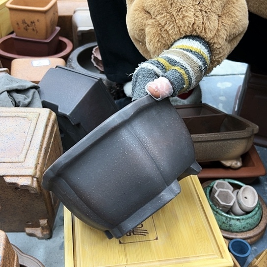 红陶紫砂花盆漂亮