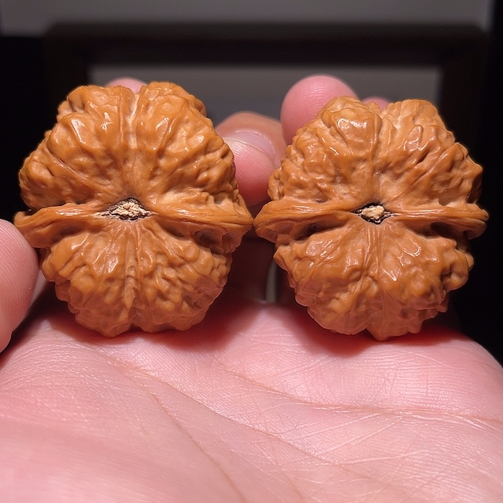 小***、核桃手串/手链蛤蟆头  