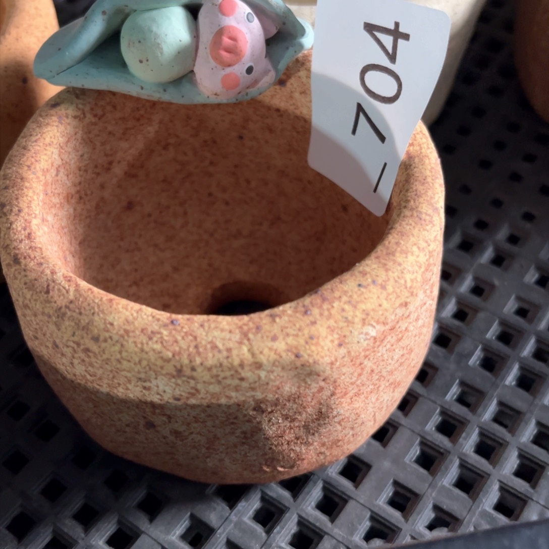 红陶h*f704花盆1个