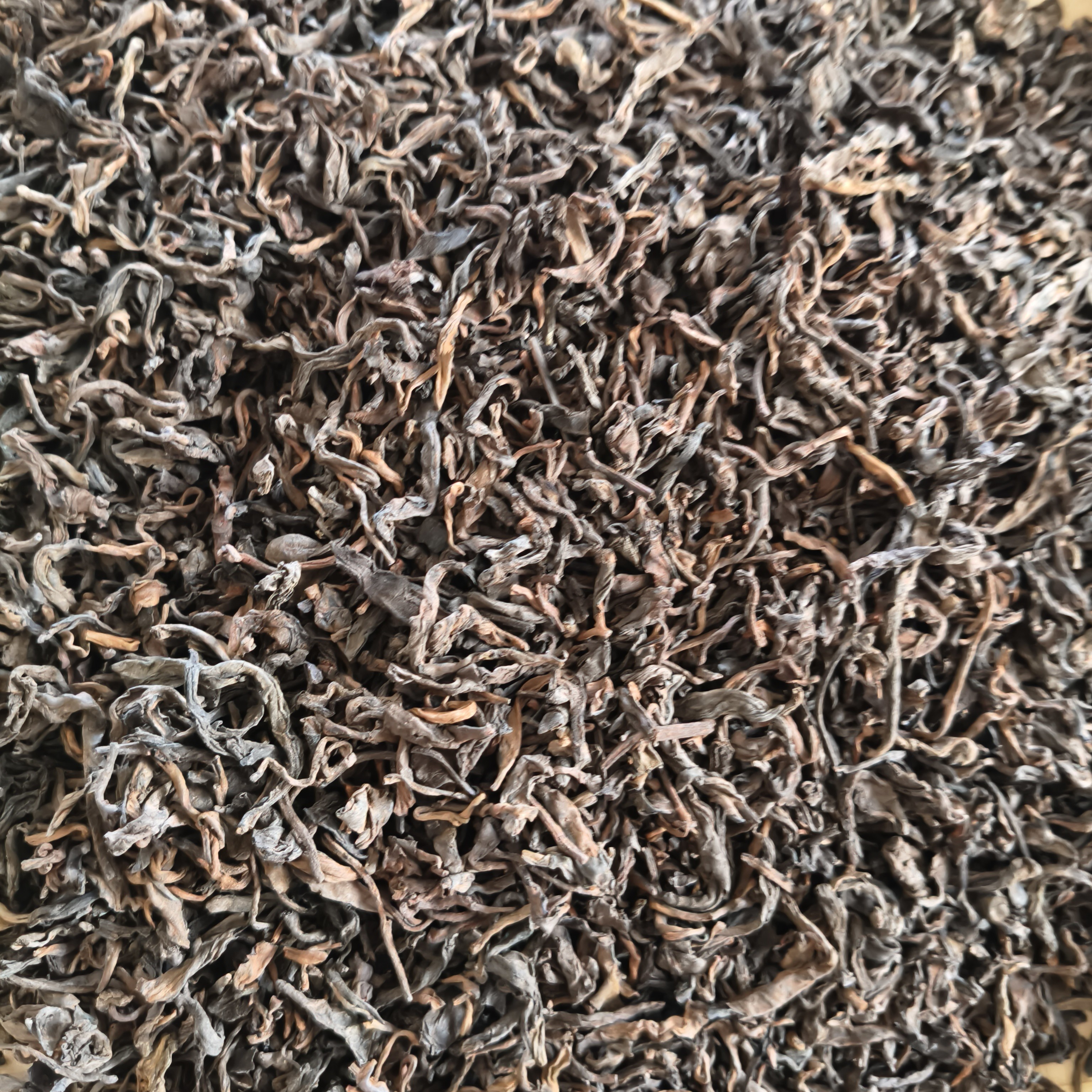 云南镇康2015年古树熟茶散茶陈香大叶种晒青普洱熟茶