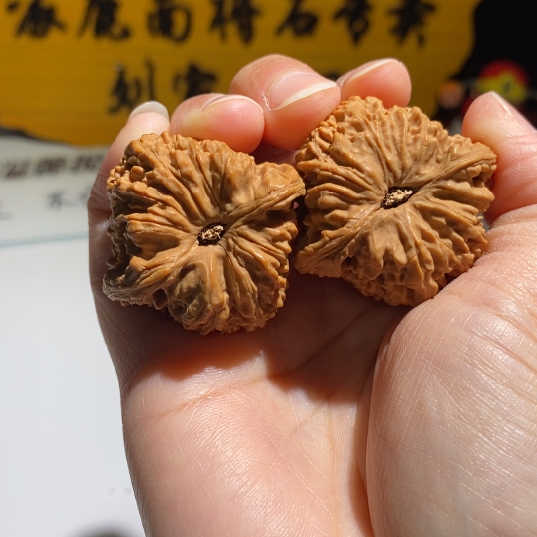 五***）大叶紫檀（黑酸枝木类）