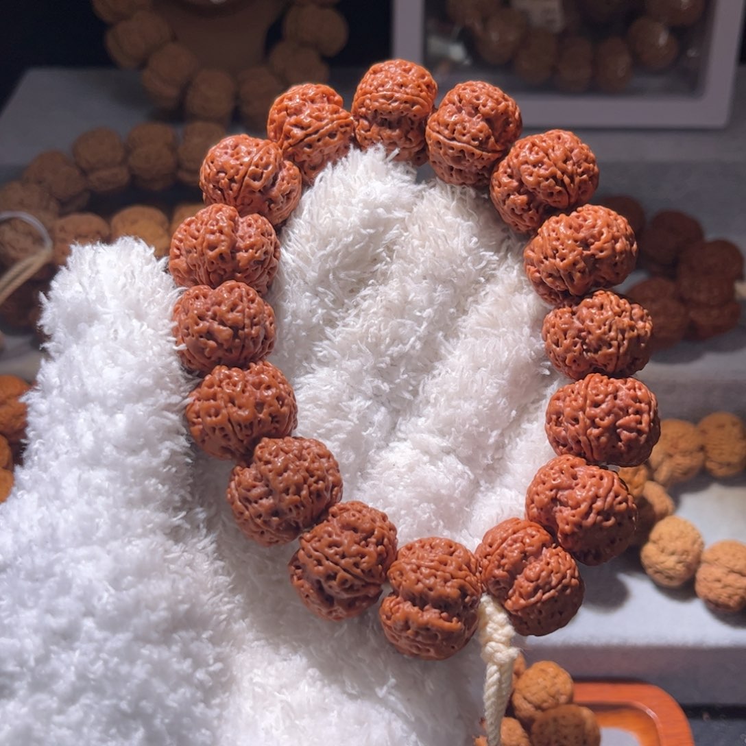 金刚菩提手串帝王花22尺寸