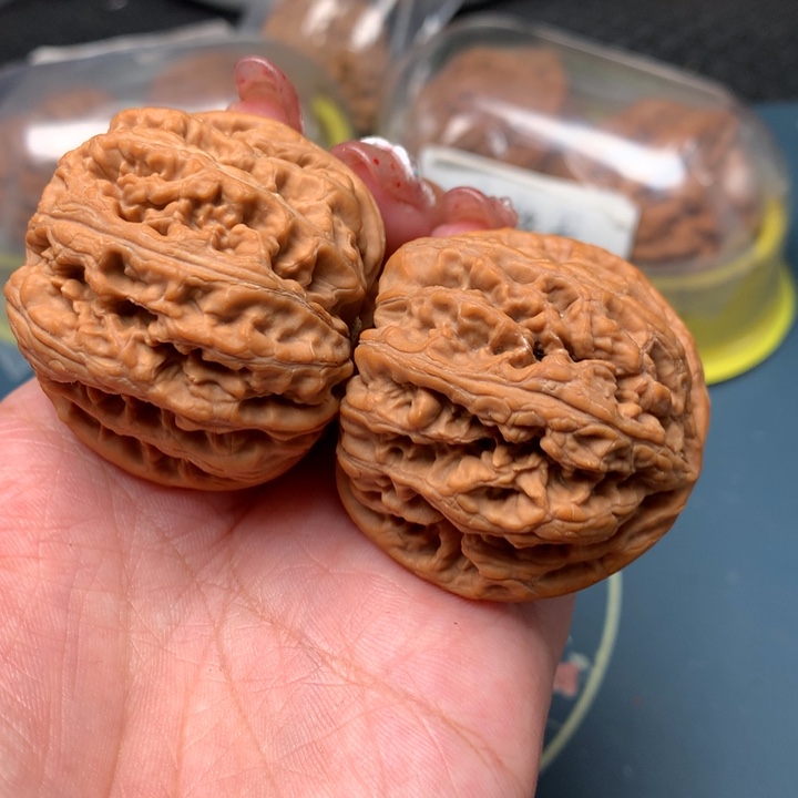 文玩核桃把件44-9172-9