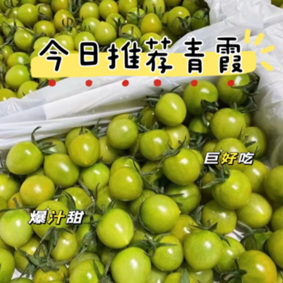【达吾水果】蜜露喜柿青甜小番茄毛重2.5斤起
