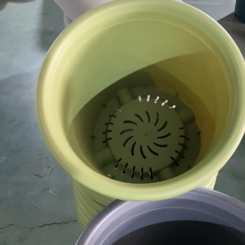 树脂果绿8号无托5个