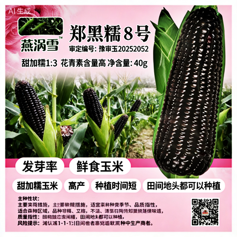 郑黑糯8号鲜食玉米种子黑甜糯可大面积种植四季蔬菜玉米种子