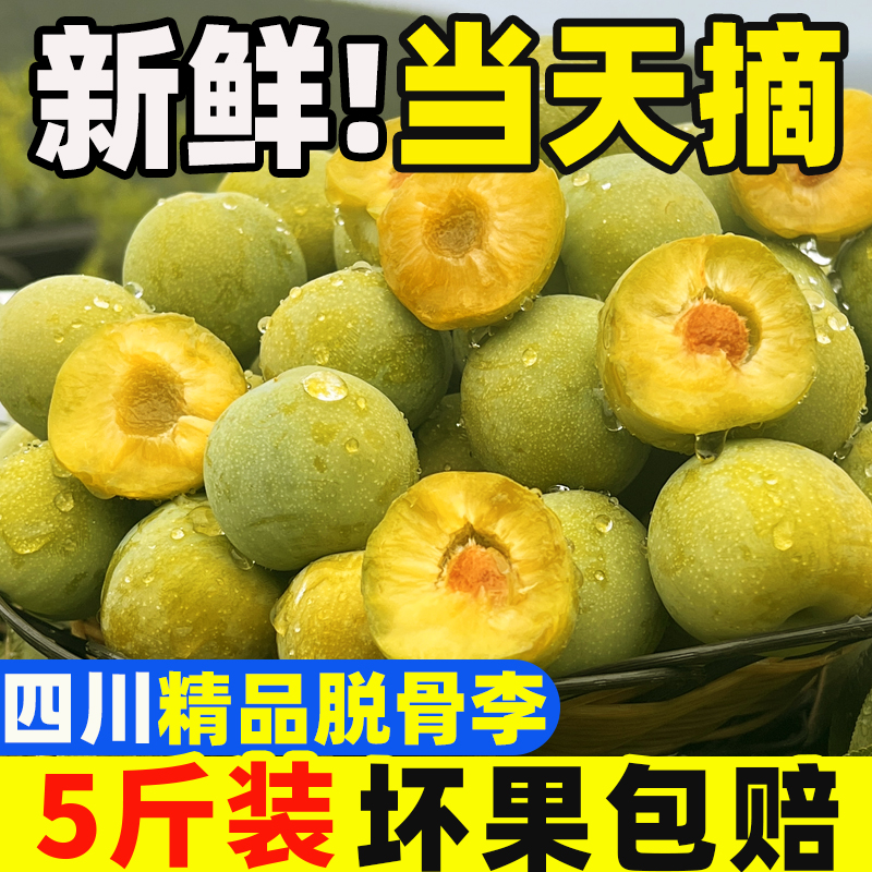 正宗四川脱骨青脆李新鲜水果土李子儿时味道
