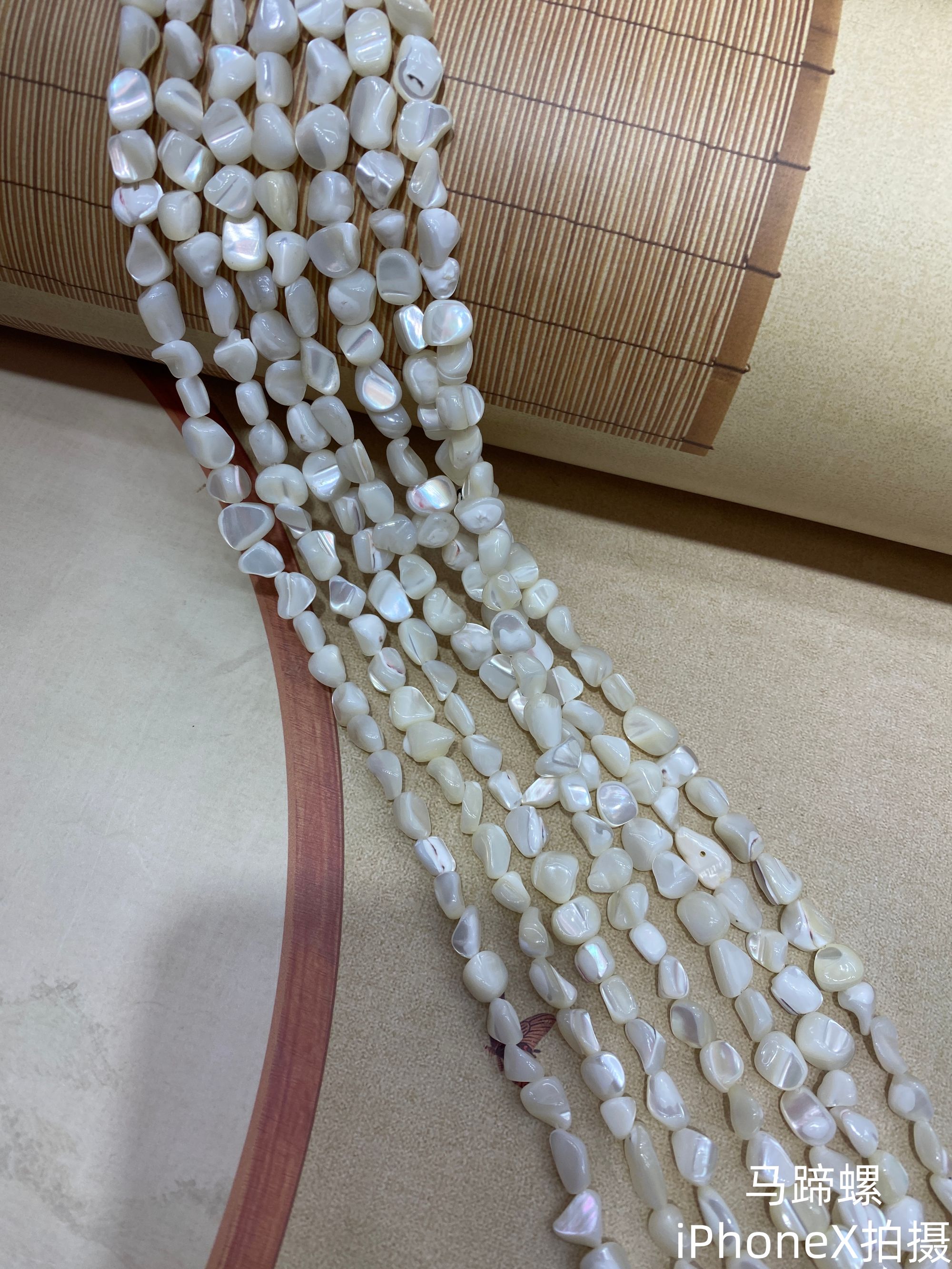 马蹄螺手工DIY半成品散珠