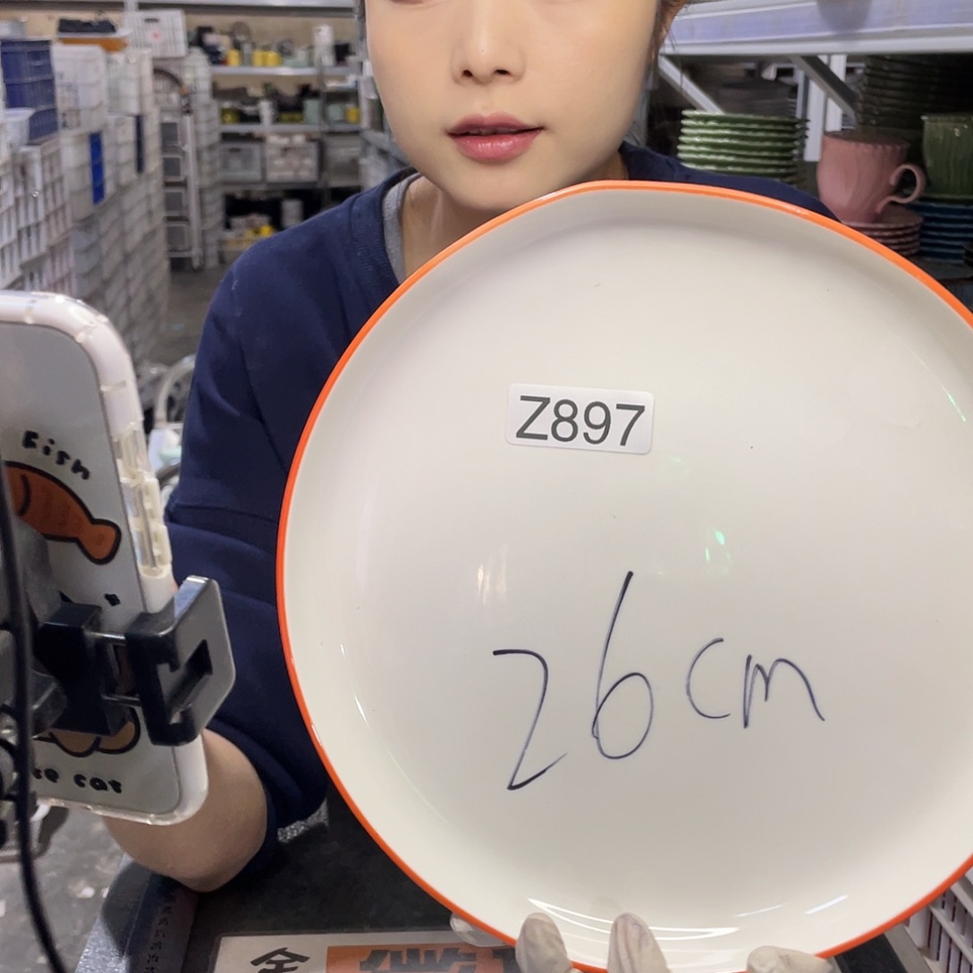 瓷片897                2个