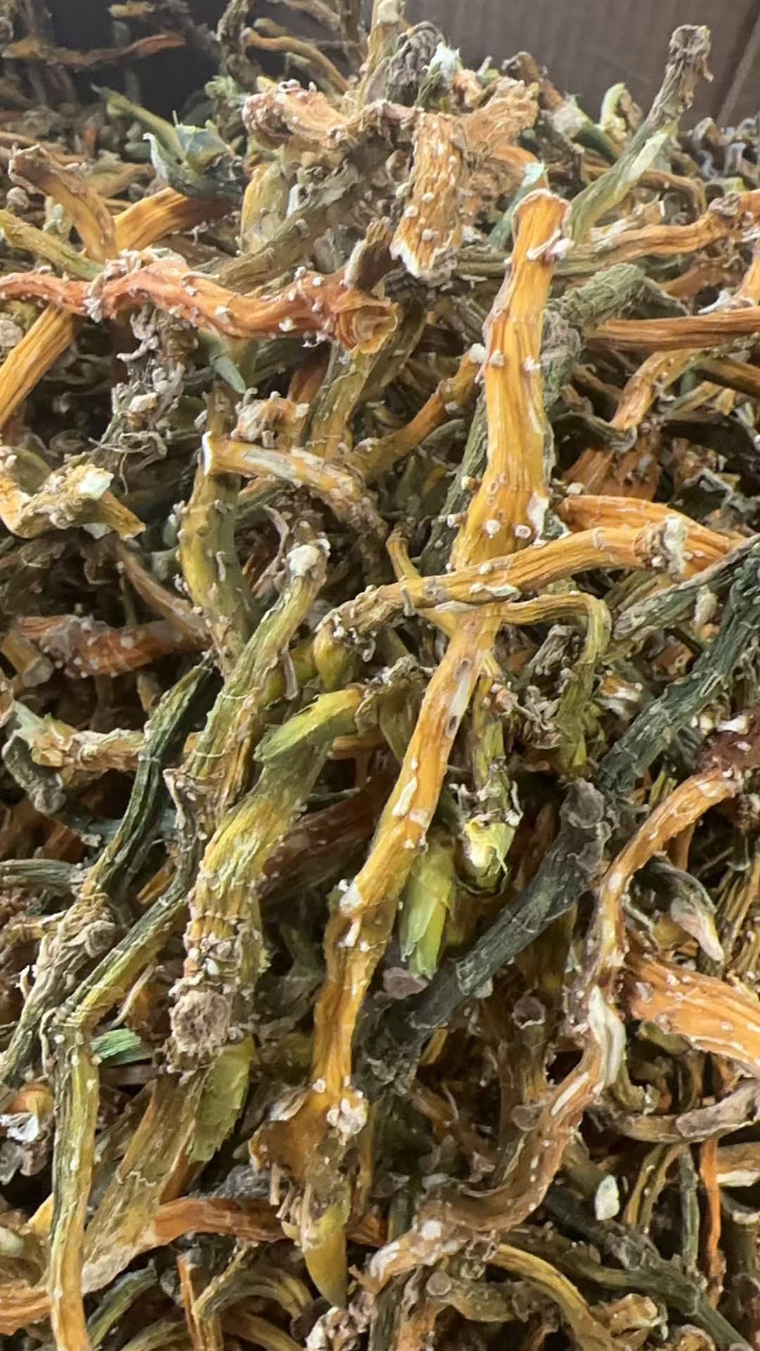 【野生玉竹】现收云南大山野生玉竹