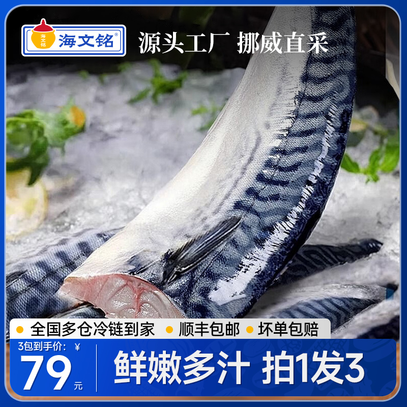 海文铭挪威进口青花鱼240g*3包