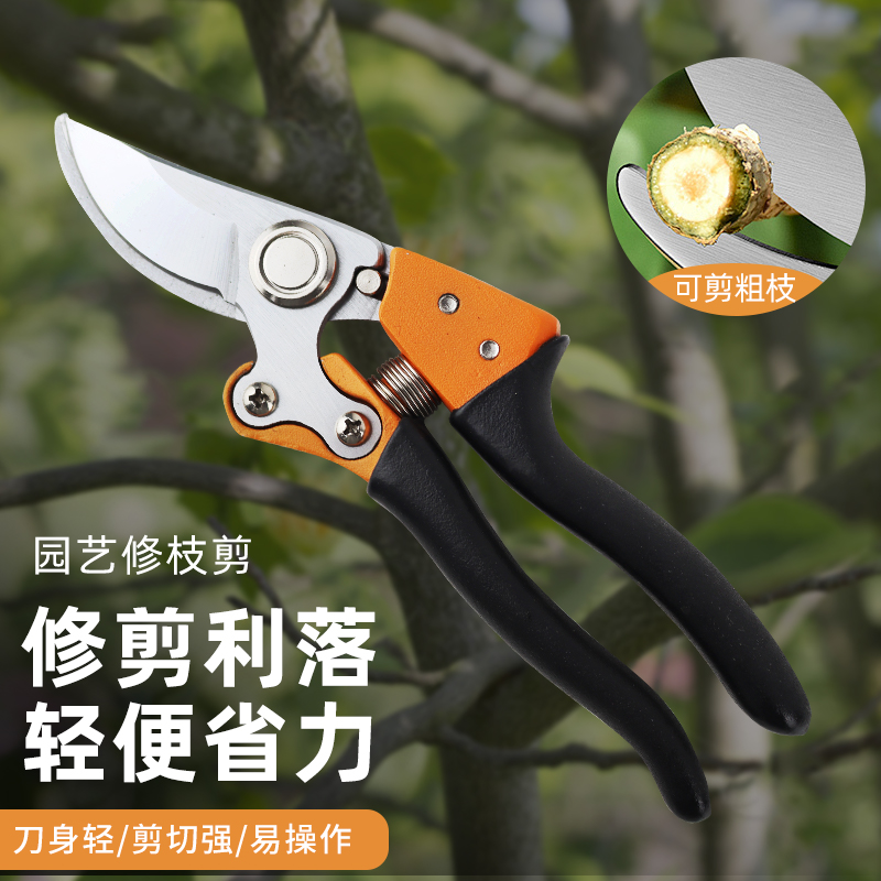 SK5强力修枝剪园艺修剪花卉绿植剪刀家用省力耐用锋利园艺剪刀