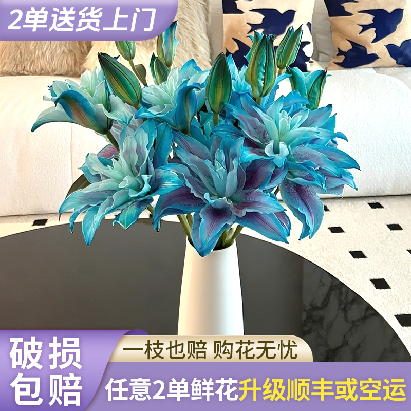 【源头优选】吸色-幻境-重瓣香水百合花水养插花用云南直发鲜花