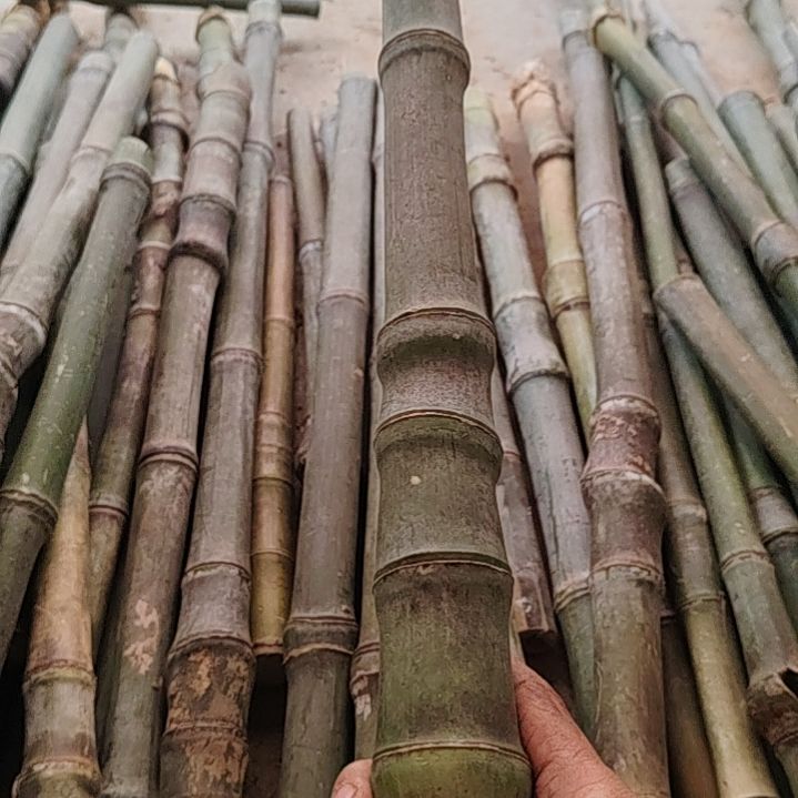 十***你嫡嫡道道是是是是是是是是是