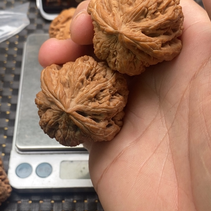 文玩核桃吊坠?****?粗筋