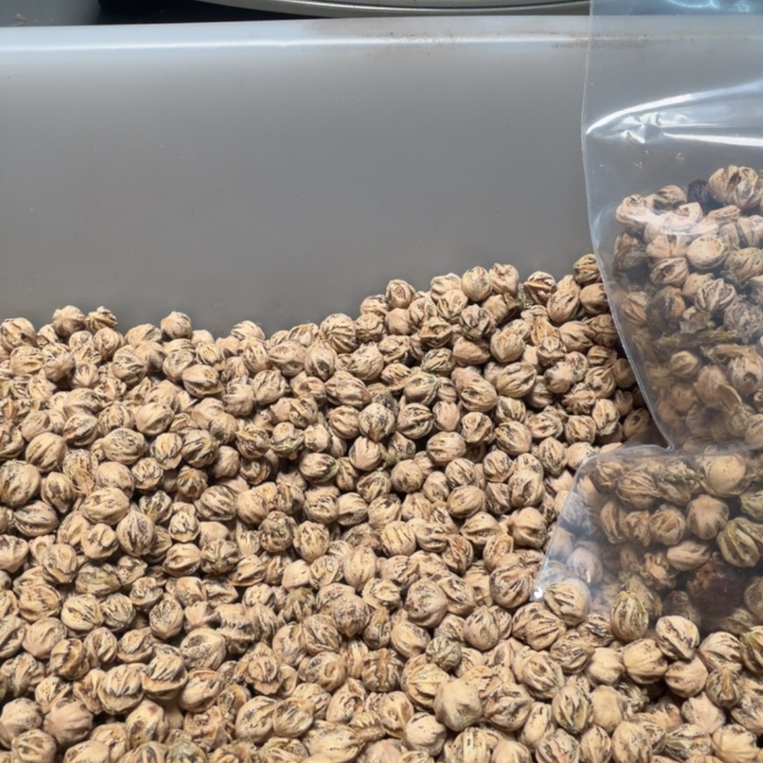 吊坠柏香籽/百香籽