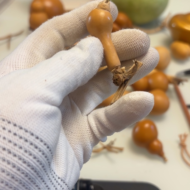 巴***哥天然手捻老皮葫芦