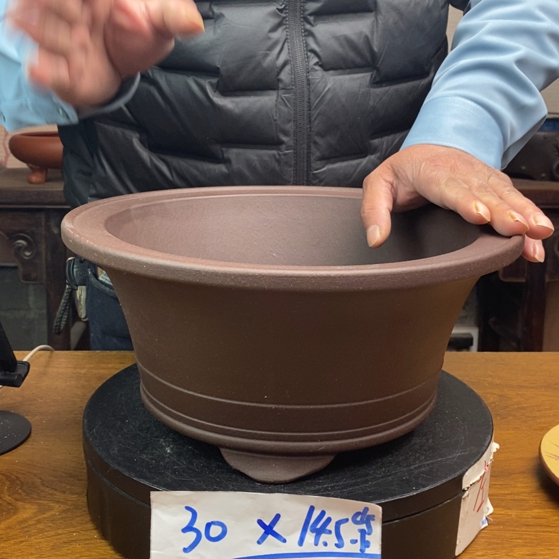 红陶货号一只DW06