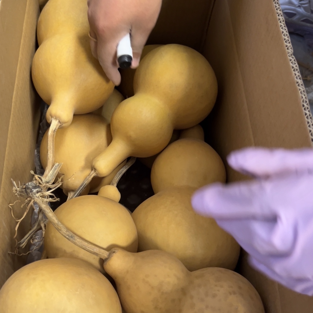 天***子有机玻璃葫芦葫芦