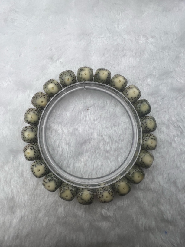 11黄金瞳大眼睛海南原生态星月菩提