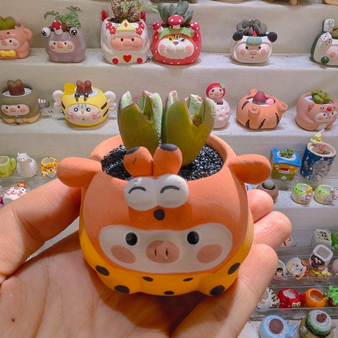 紫*云云宝专属链接拍拍