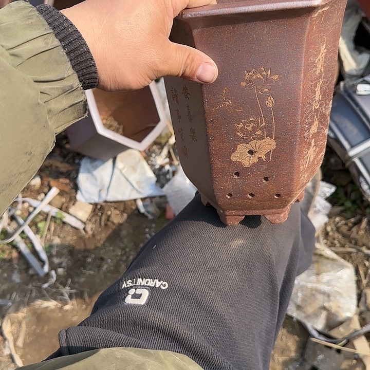 我想说我们也没见他说你没来就算她在