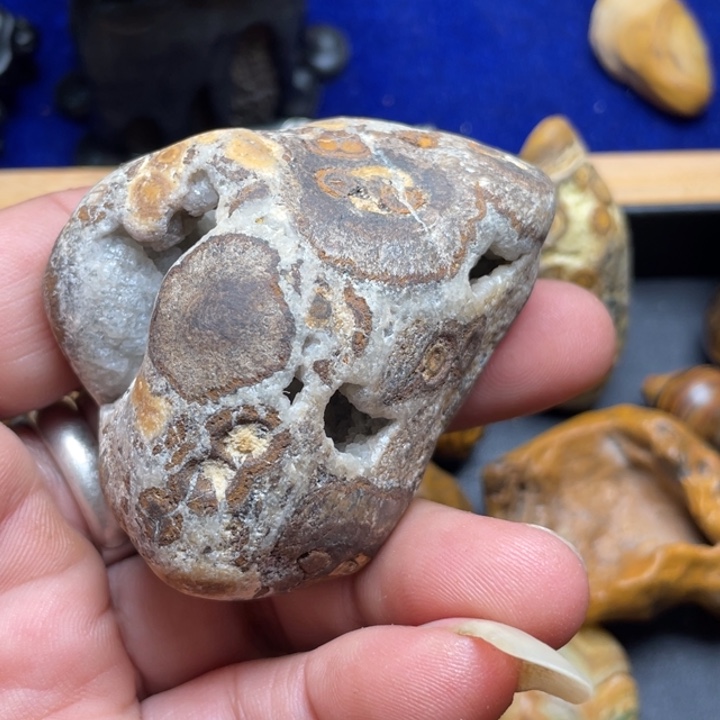 石材纯天然原石奇石252