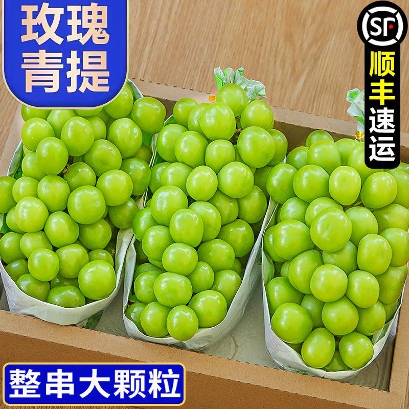 【果欢】高原阳光玫瑰无籽提子晴王相印葡萄新鲜水果云南省