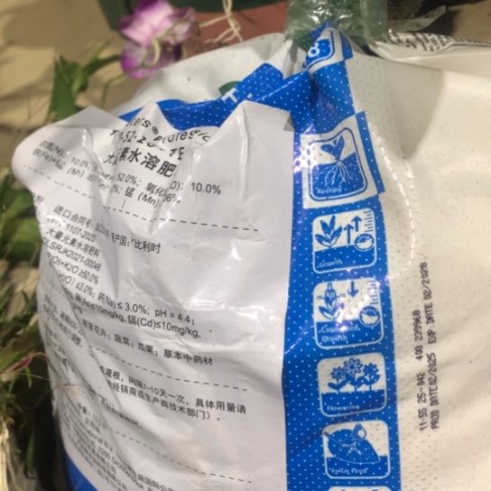 完全开放粉丝福利1:500喷叶面叶背