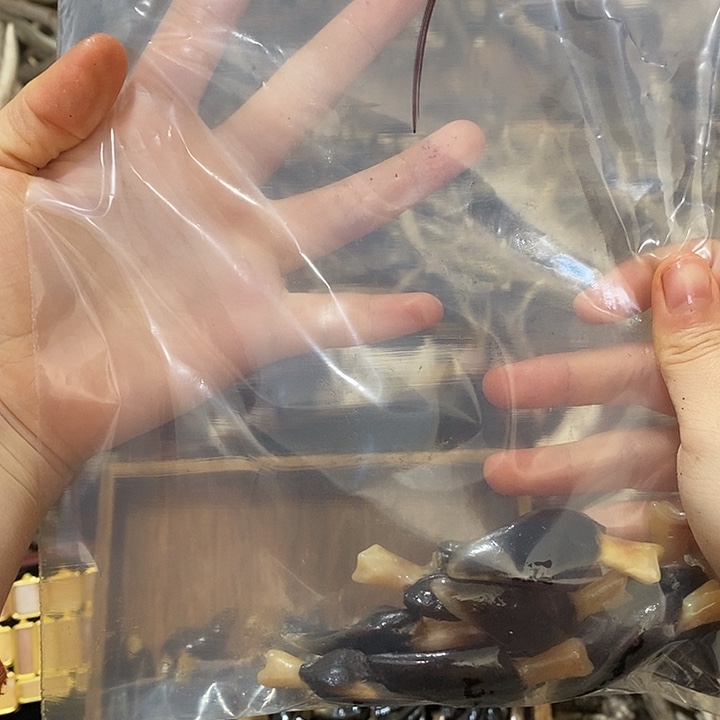 丁***无非金属鹿蹄鹿鹿蹄鹿蹄