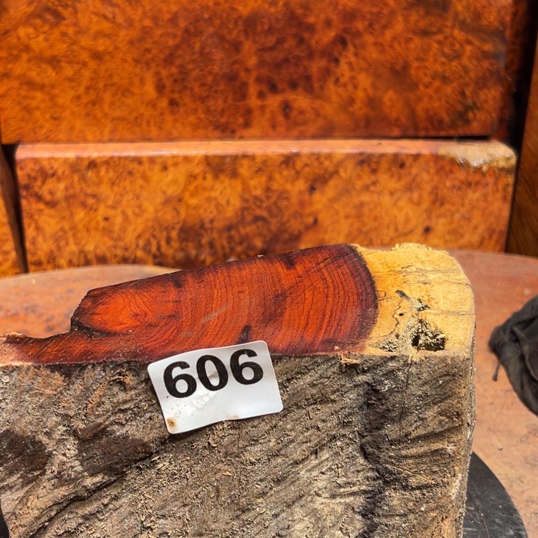 大果紫檀（缅甸花梨）