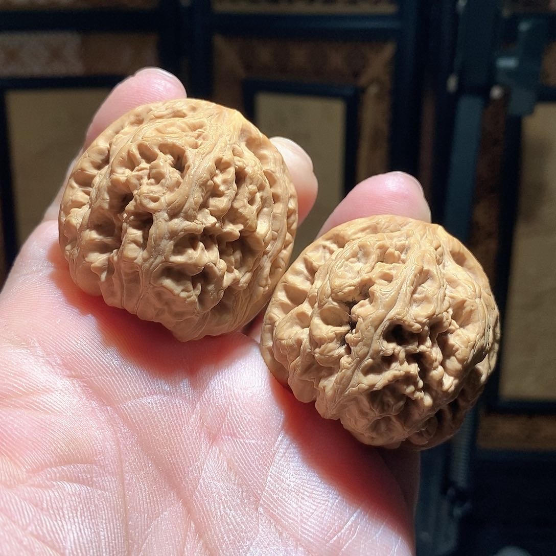 文玩核桃把件41大粗筋