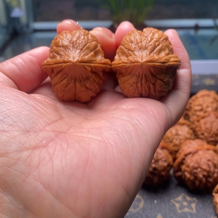 L****文玩核桃把件龟甲纹