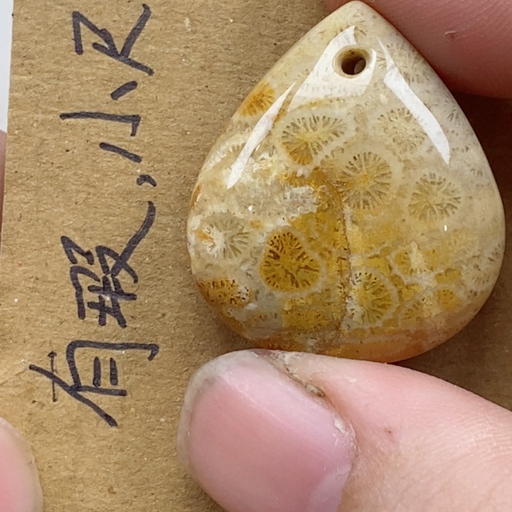 颈饰未镶嵌硅化珊瑚（珊瑚玉）