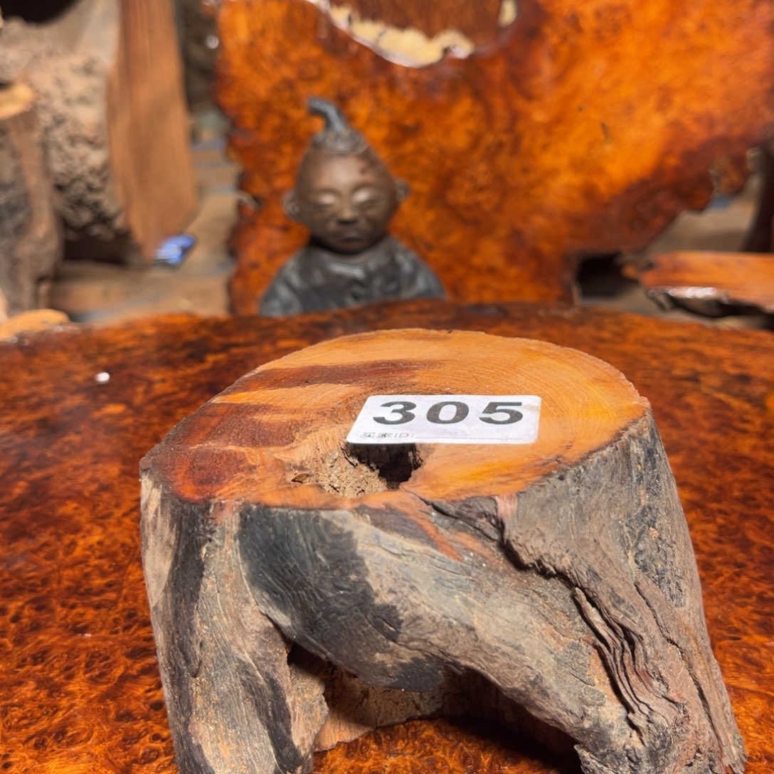 大果紫檀（缅甸花梨）