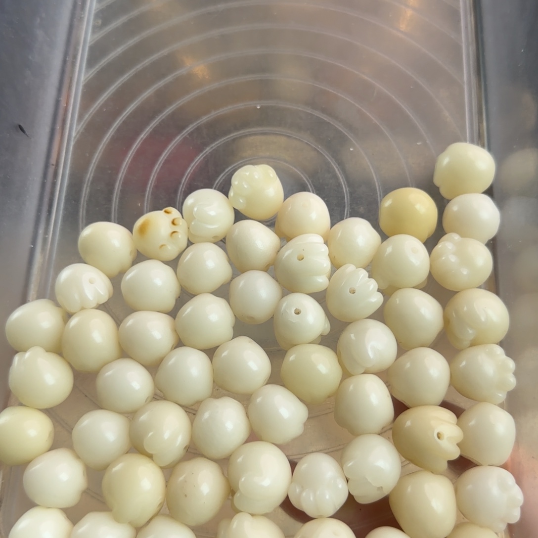 菩提根/象牙果吊坠瑕疵卡16白猫爪56颗不售后有裂