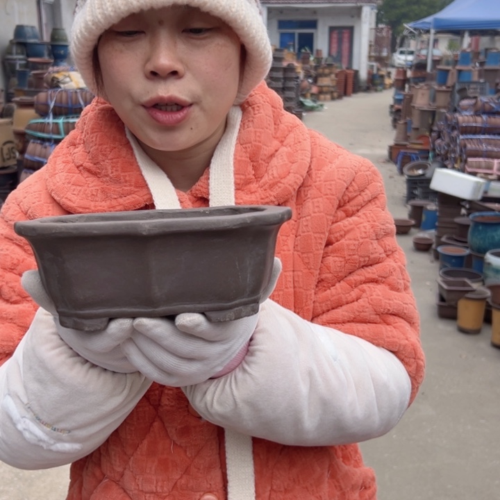 22莲花花盆花盆花盆花盆花盆