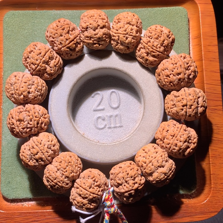 手串金刚菩提23+琅琊六瓣