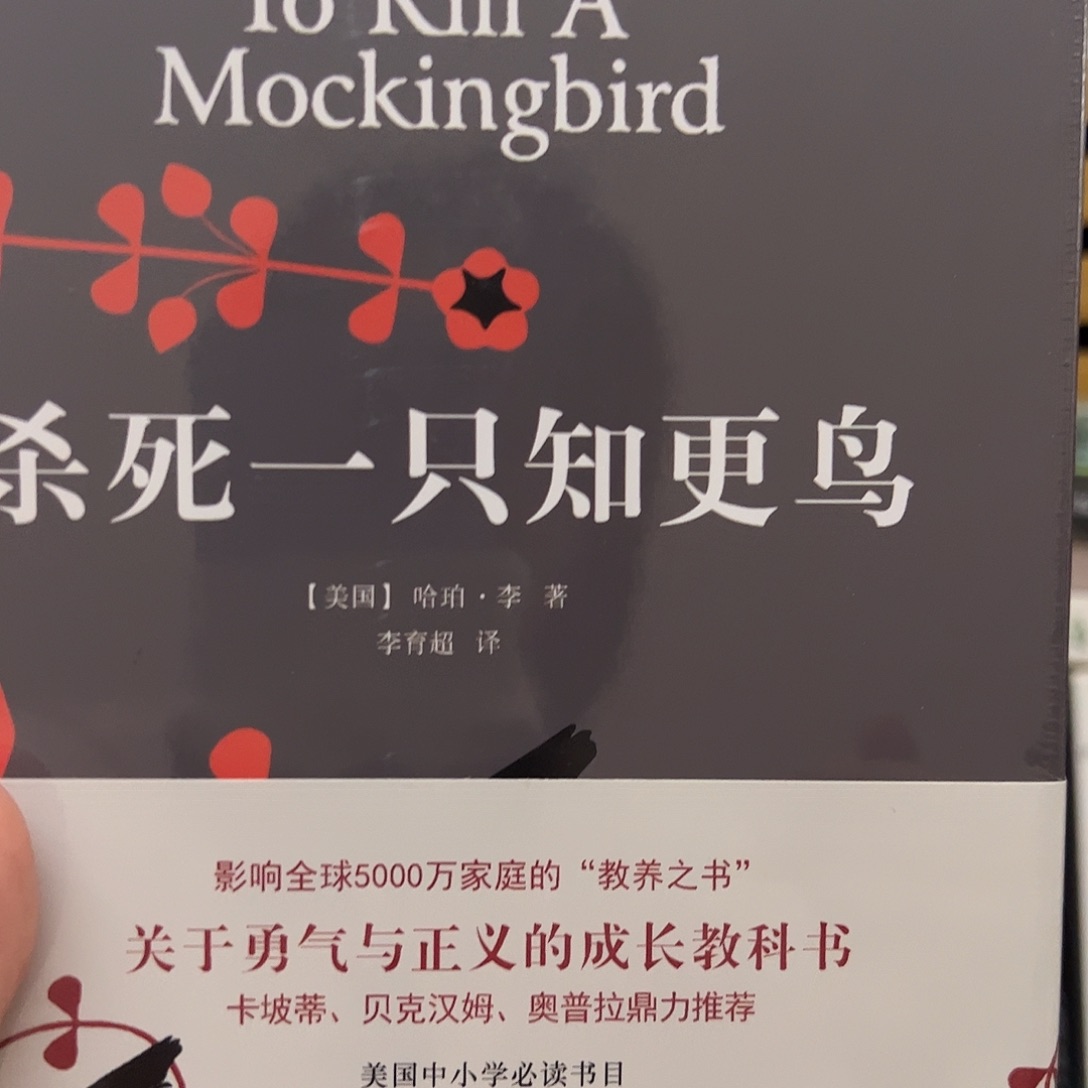 杀死一只知更鸟 精装