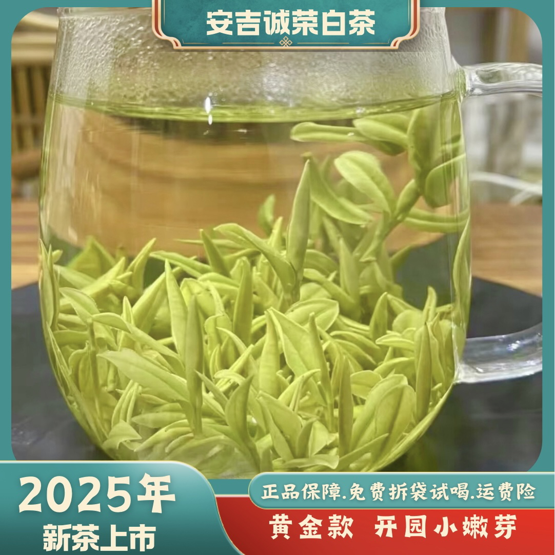 【尊贵黄金款】A36安吉昆铜明前头采兰香醇厚鲜爽回甘 