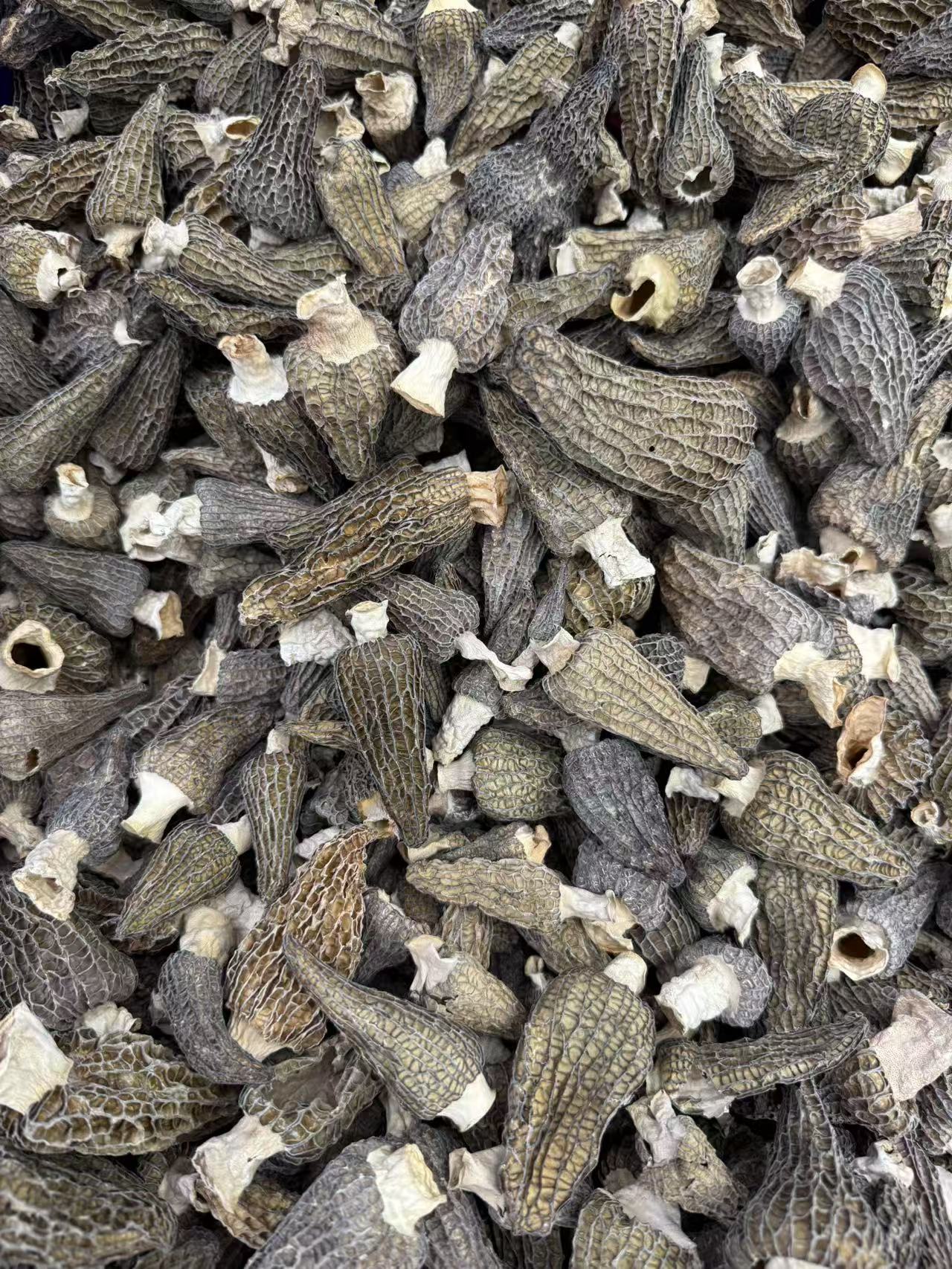 阿喳姐头茬羊肚菌干货新鲜野营养滋补品香味食用饱满肉质甄选炖汤