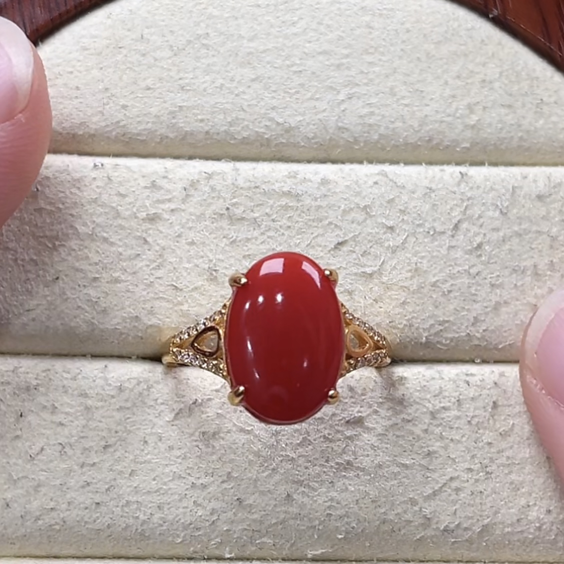 天然红珊瑚阿卡银戒指9.4×14