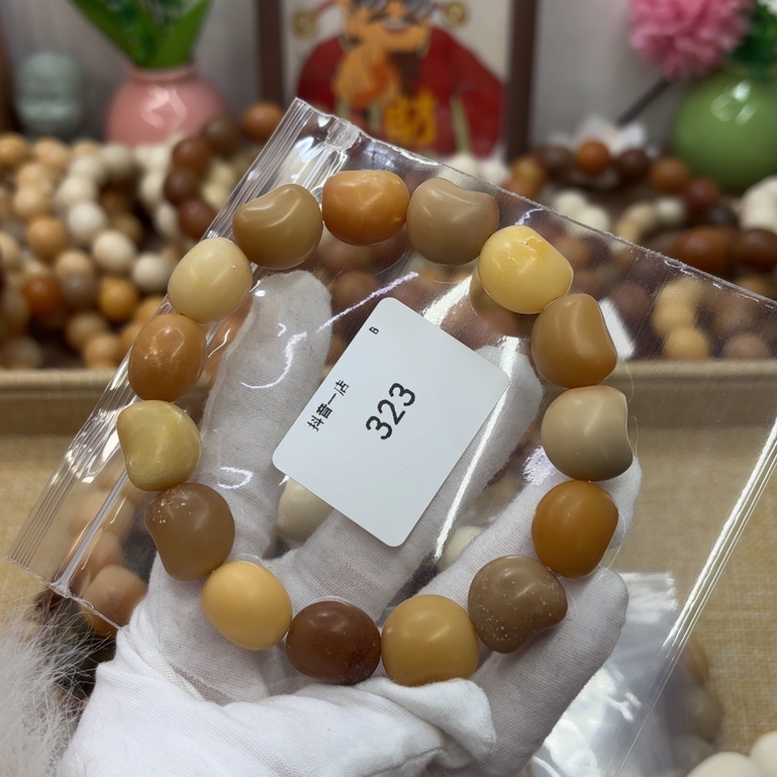 吊坠菩提根/象牙果17干磨大瑕疵落地果323