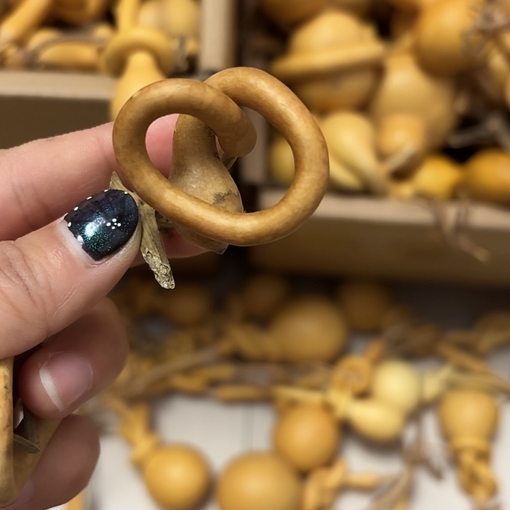 给***鱼一把葫芦便宜漏了