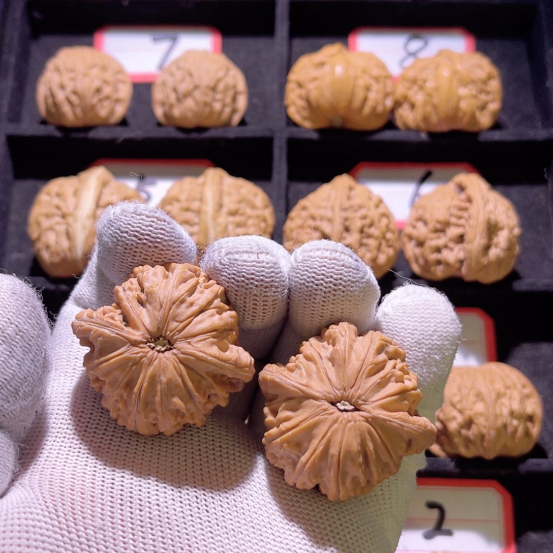 用****4秦皇岛山地果全品