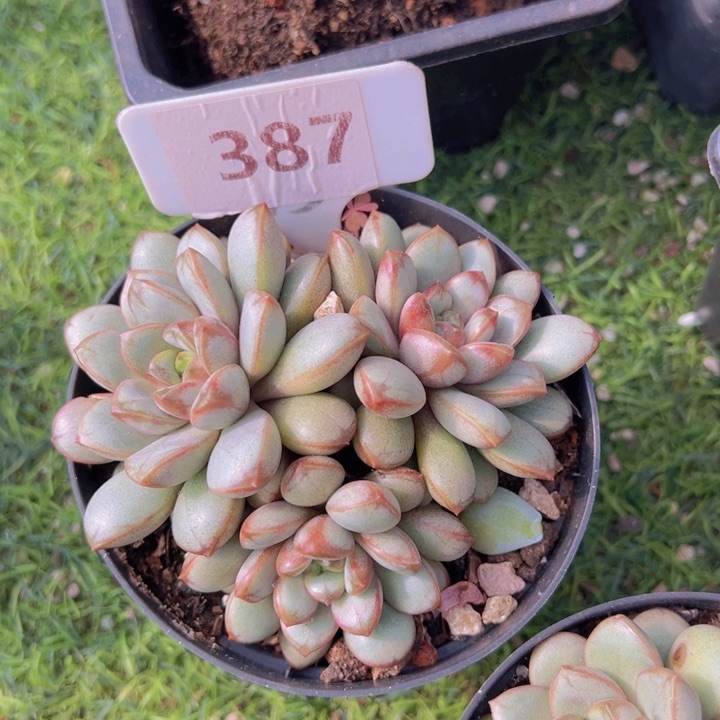 健健康康平平安安