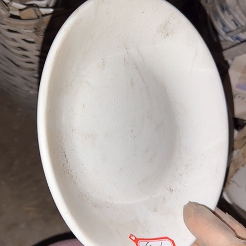 瓷片国营厂库存微瑕20.5厘米41