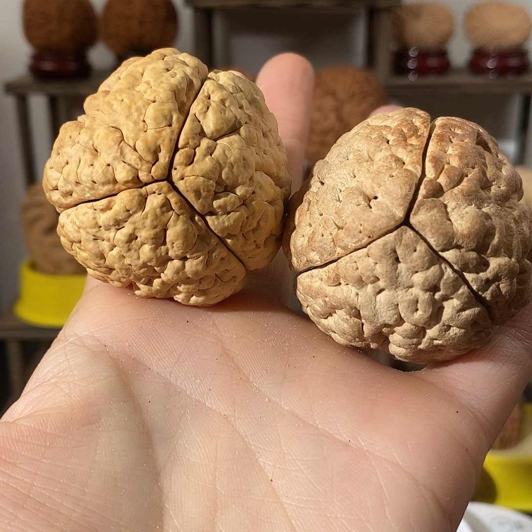 吊坠文玩核桃无****条脑纹金刚练手不退不换不接受中差评47