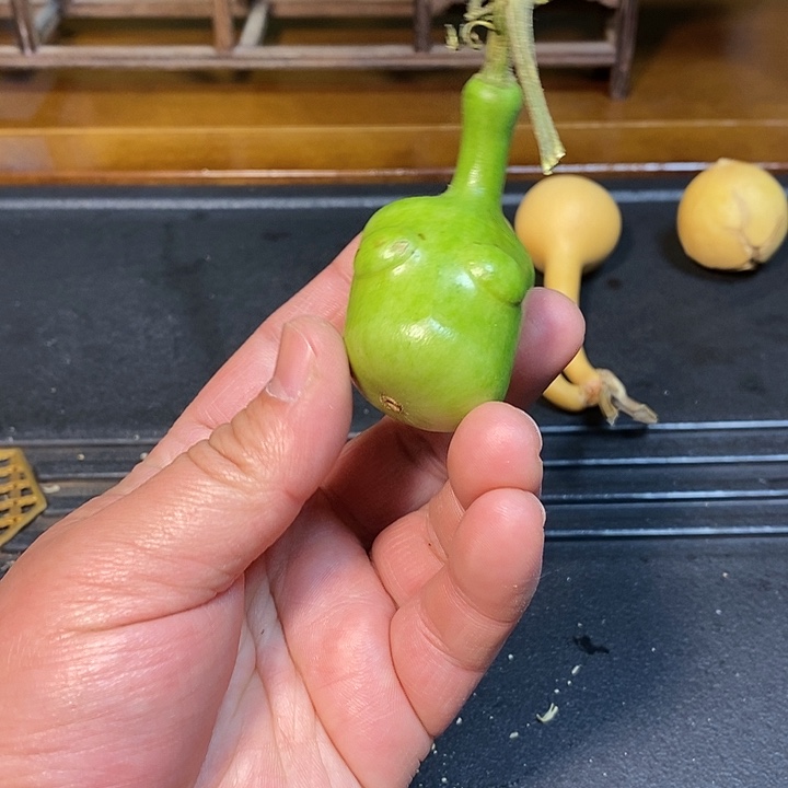 烈*精品葫芦手把葫芦74